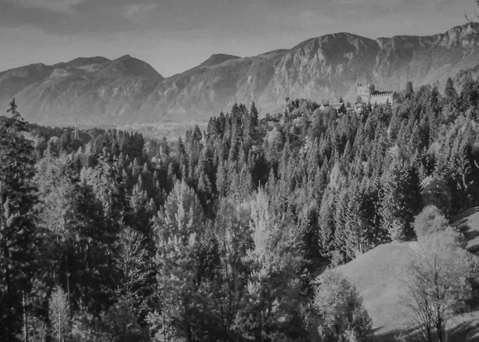 Apartamento Haus Schrettl Hintergruenholz *