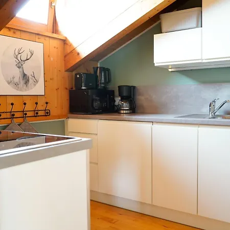 公寓 Haus Schrettl Hintergruenholz